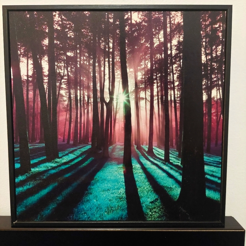 Forest Design Wall Art